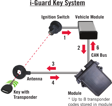 Supporting Image